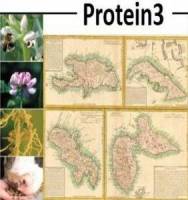 Protein3